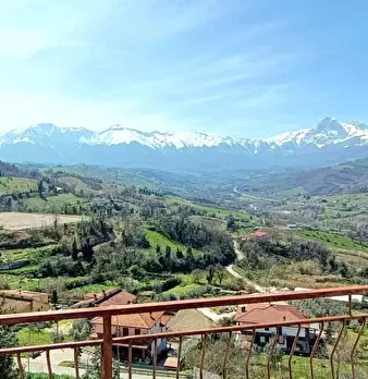 Foto annuncio 2