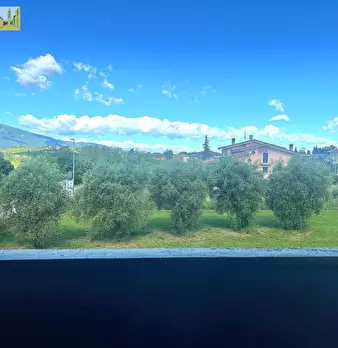Foto annuncio 11