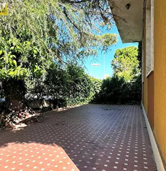 Foto annuncio 10