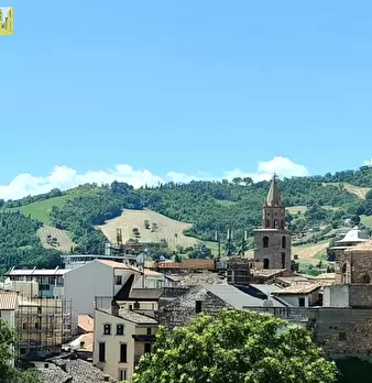 Foto annuncio 11