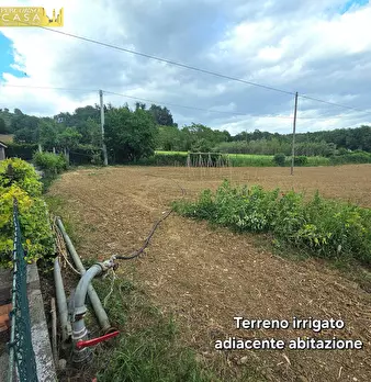 Foto annuncio 10