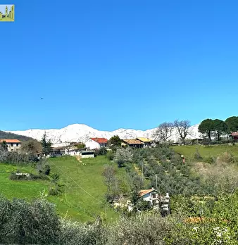 Foto annuncio 9