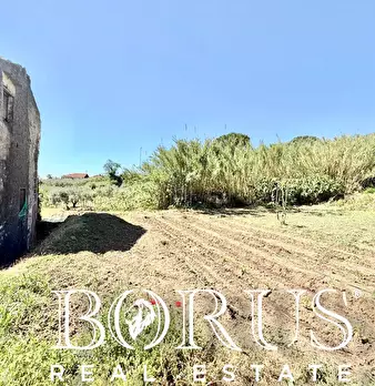 Foto annuncio 20