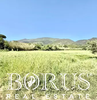 Foto annuncio 21