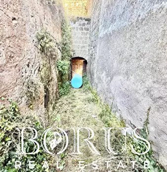Foto annuncio 24