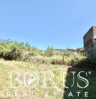 Foto annuncio 25