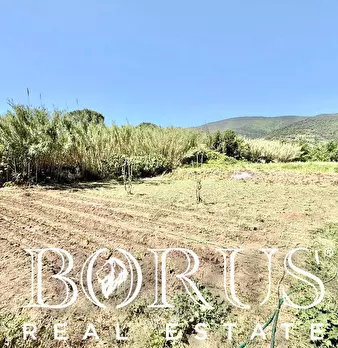 Foto annuncio 33