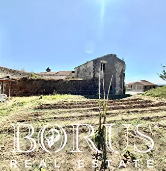 Foto annuncio 36