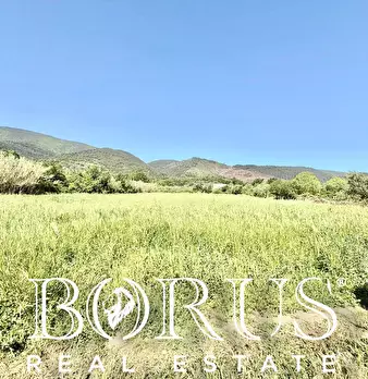 Foto annuncio 38