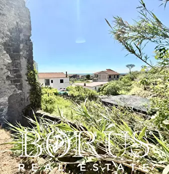 Foto annuncio 44