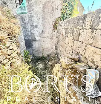 Foto annuncio 48