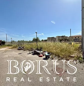 Foto annuncio 75