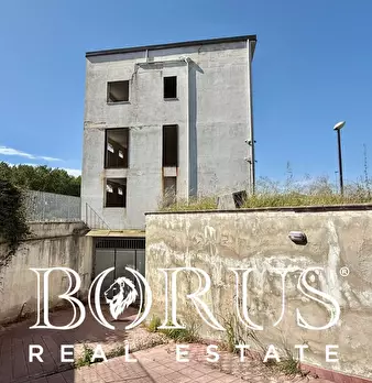 Foto annuncio 86
