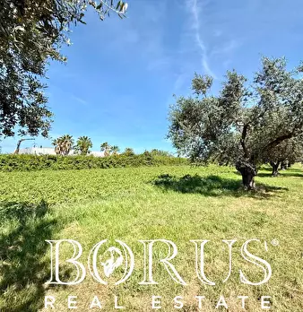 Foto annuncio 7