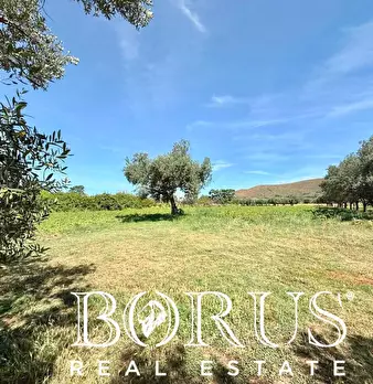 Foto annuncio 8
