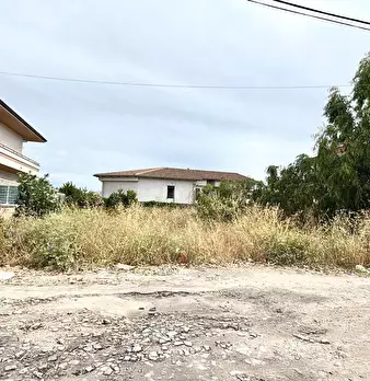 Foto annuncio 2