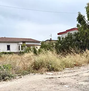Foto annuncio 4