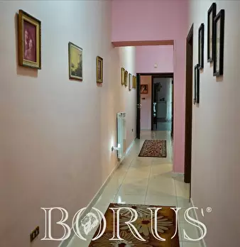 Foto annuncio 50