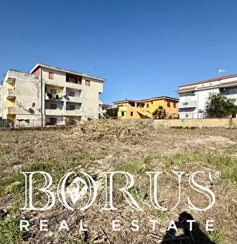 Foto annuncio 7