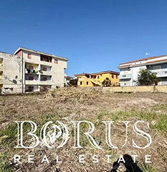 Foto annuncio 12