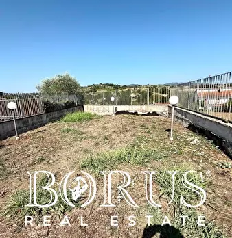 Foto annuncio 33