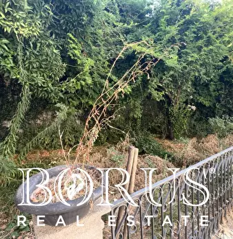 Foto annuncio 36