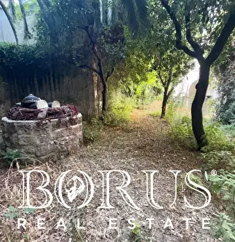 Foto annuncio 46
