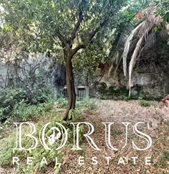 Foto annuncio 47