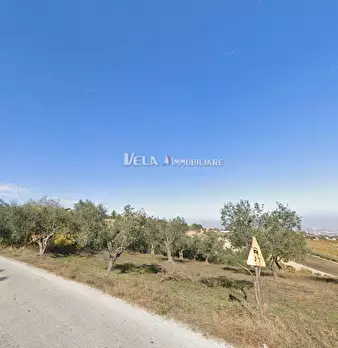 Foto annuncio 1