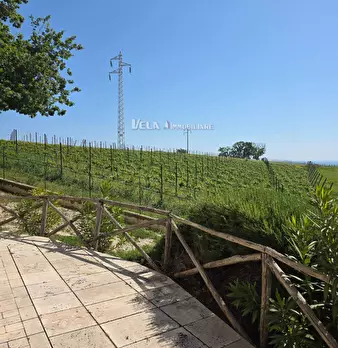 Foto annuncio 37