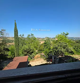 Foto annuncio 11