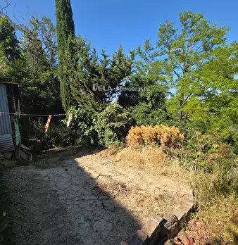 Foto annuncio 14