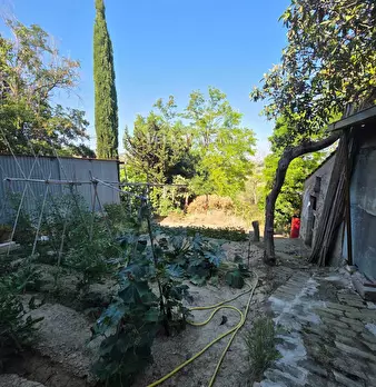 Foto annuncio 19