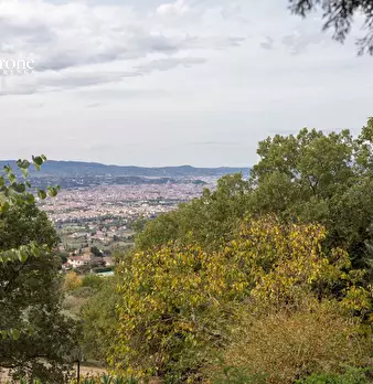 Foto annuncio 14