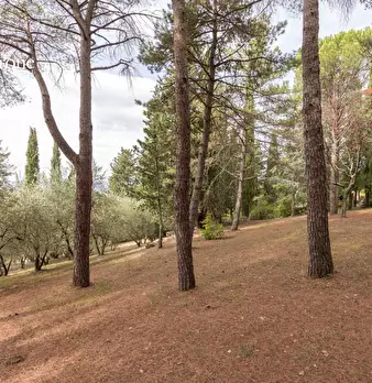 Foto annuncio 15