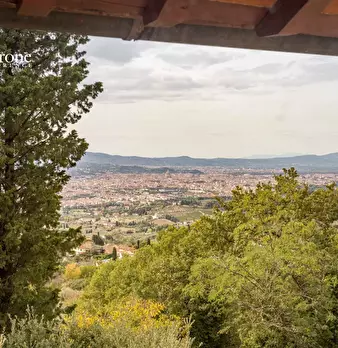 Foto annuncio 12