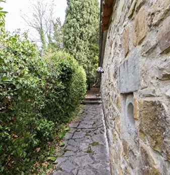 Foto annuncio 8