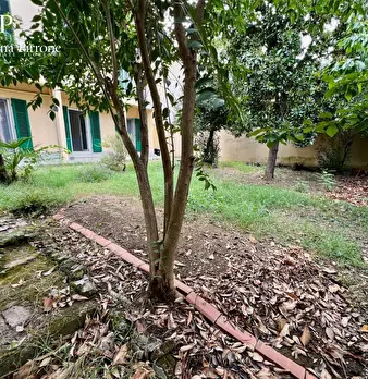 Foto annuncio 31