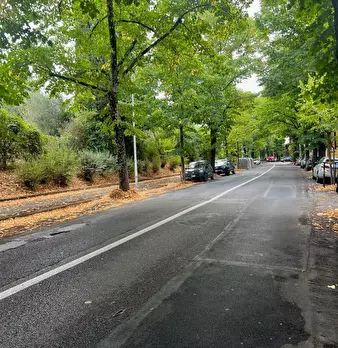 Foto annuncio 36
