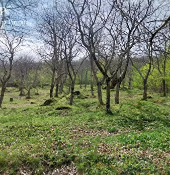 Foto annuncio 18