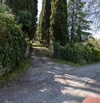 Foto annuncio 11
