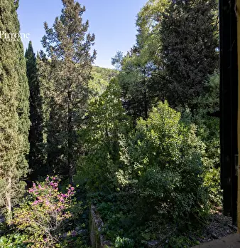 Foto annuncio 22