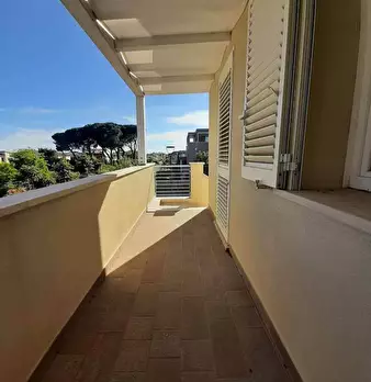 Foto annuncio 51