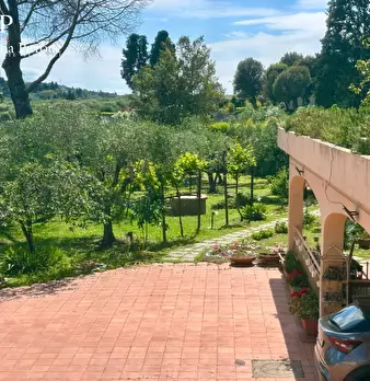 Foto annuncio 29