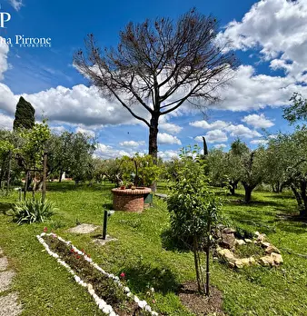 Foto annuncio 51