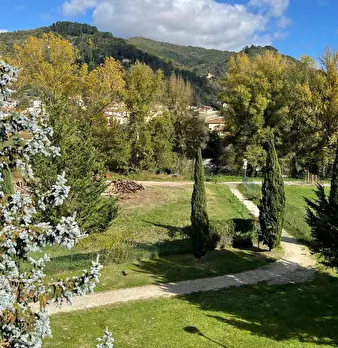 Foto annuncio 52