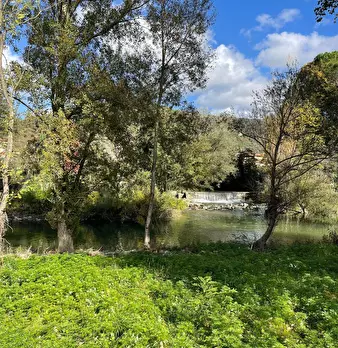 Foto annuncio 60