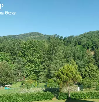 Foto annuncio 7
