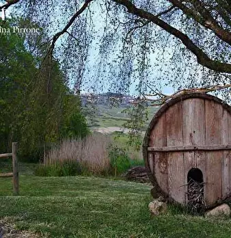 Foto annuncio 5