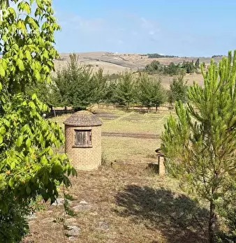 Foto annuncio 17